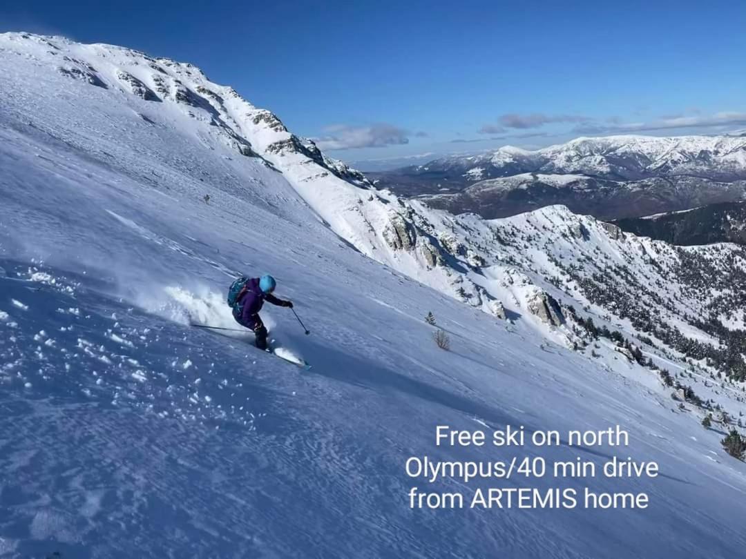 Artemis Home Pétra エクステリア 写真